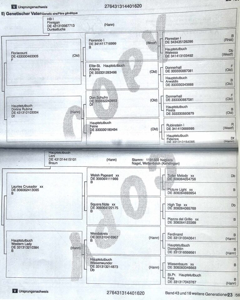 Pedigree